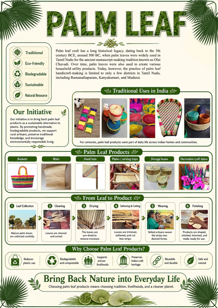 Illustrated guide to palm leaf craft, products and making process
